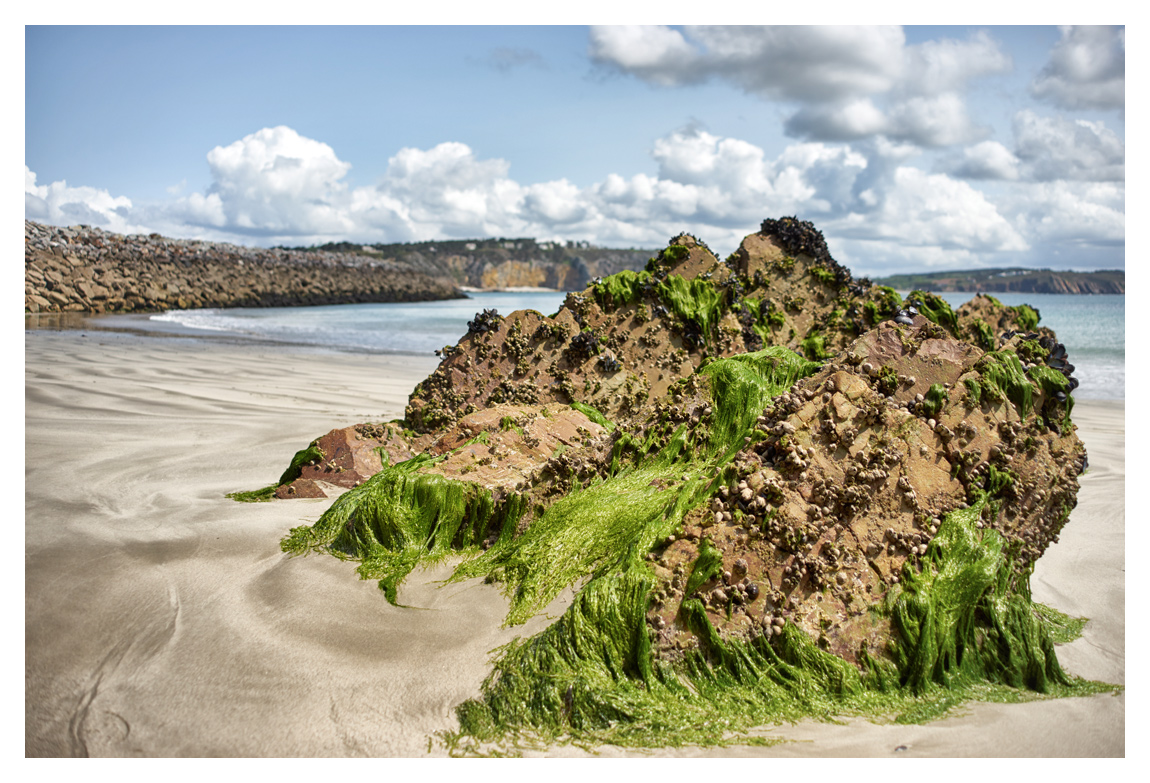 bretagne-08364b.jpg