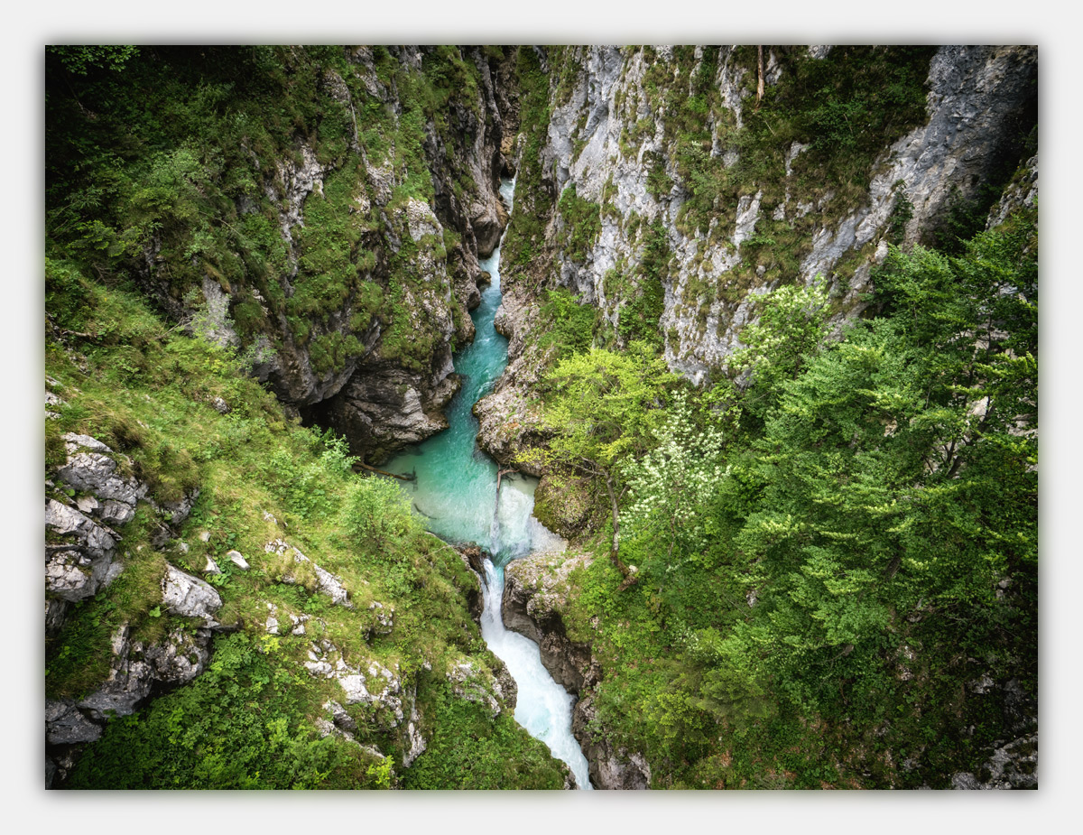 Alpen-Sommer-2017-skf-Leutasch-bf-P61731