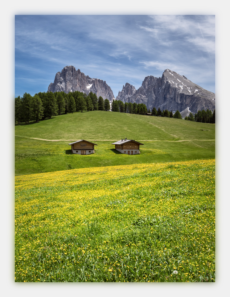 Alpen-Sommer-2017-skf-Seiseralm-bf-P6081