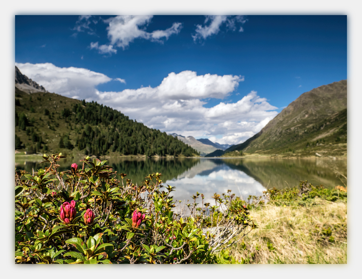 Alpen-Sommer-2017-skf-Staller-Sattel-Obe
