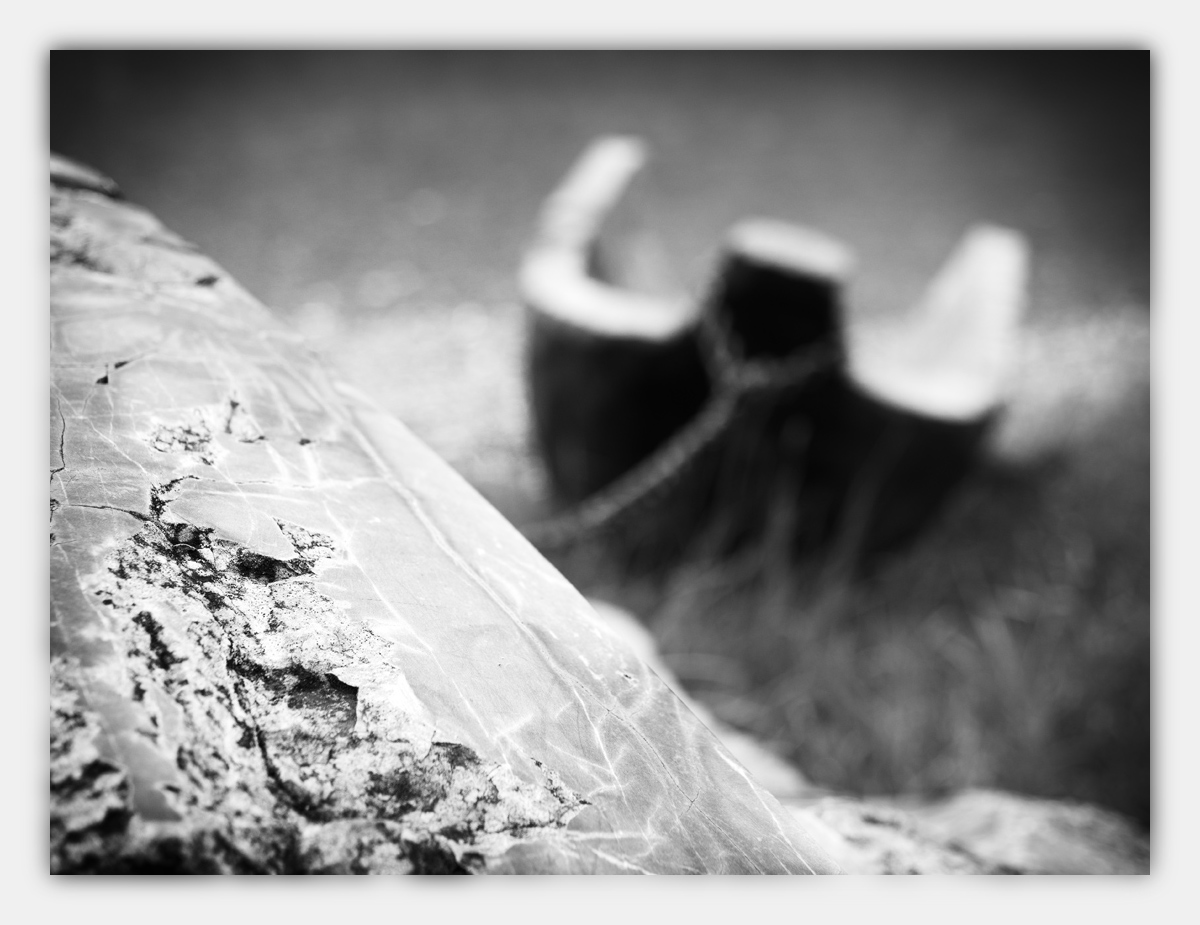 Alpensommer-2017-skf-Heiterwang-bf-P6051