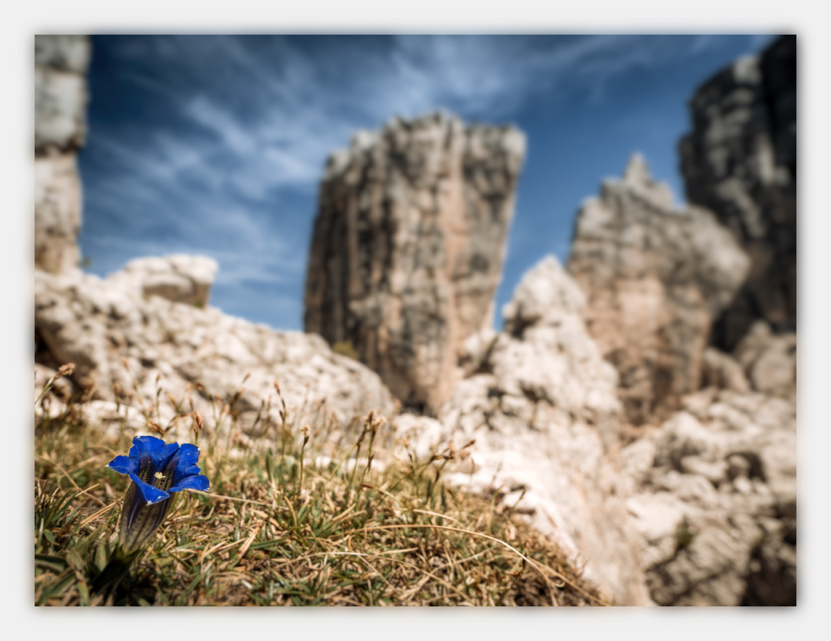Alpensommer-2017-skf-cs-Cinque-Torri-1.j