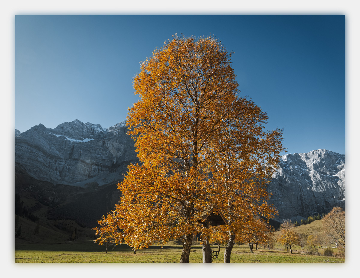 1-Alpen-Herbst-2017-Eng-CS-3.jpg