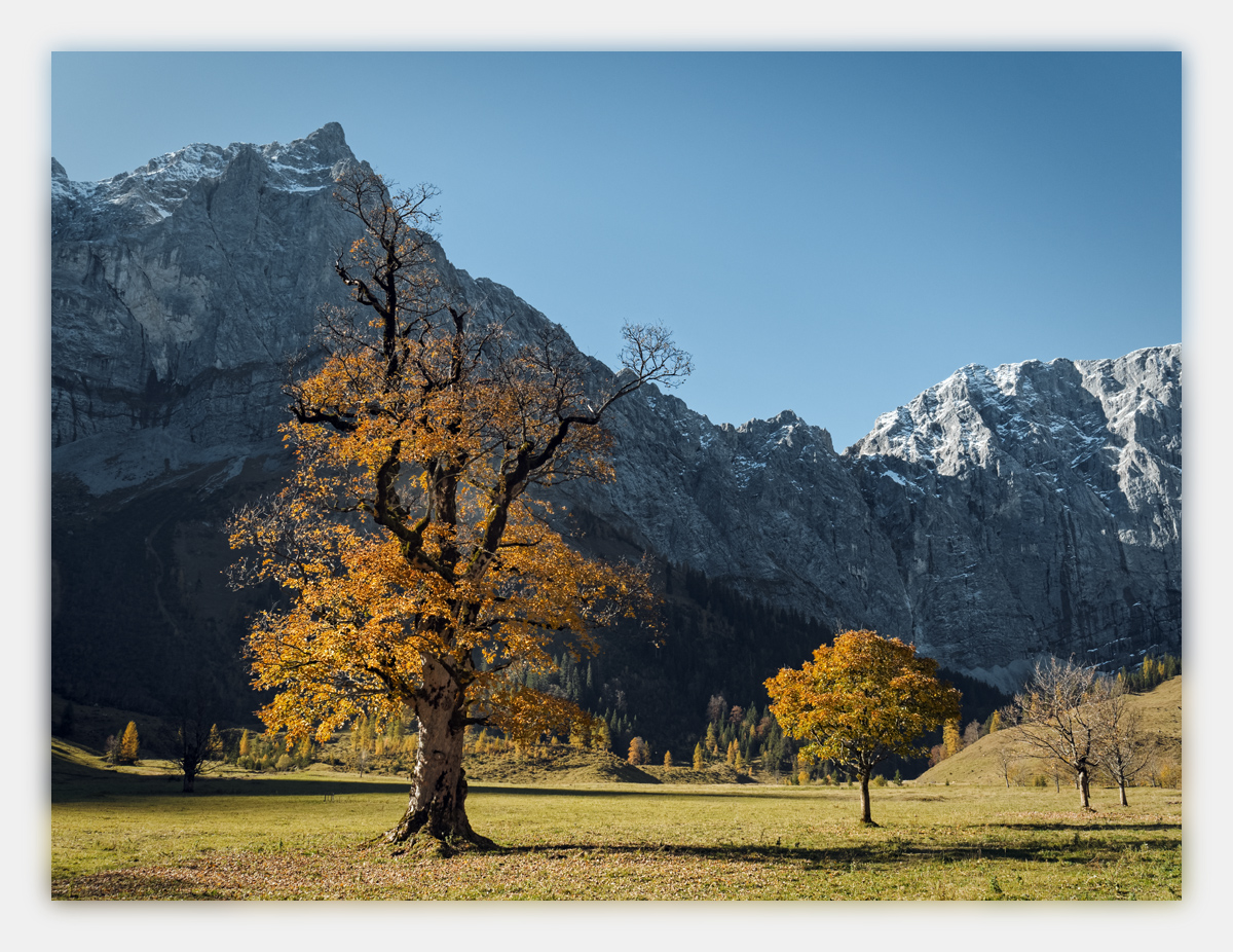 1-Alpen-Herbst-2017-Eng-CS-4.jpg
