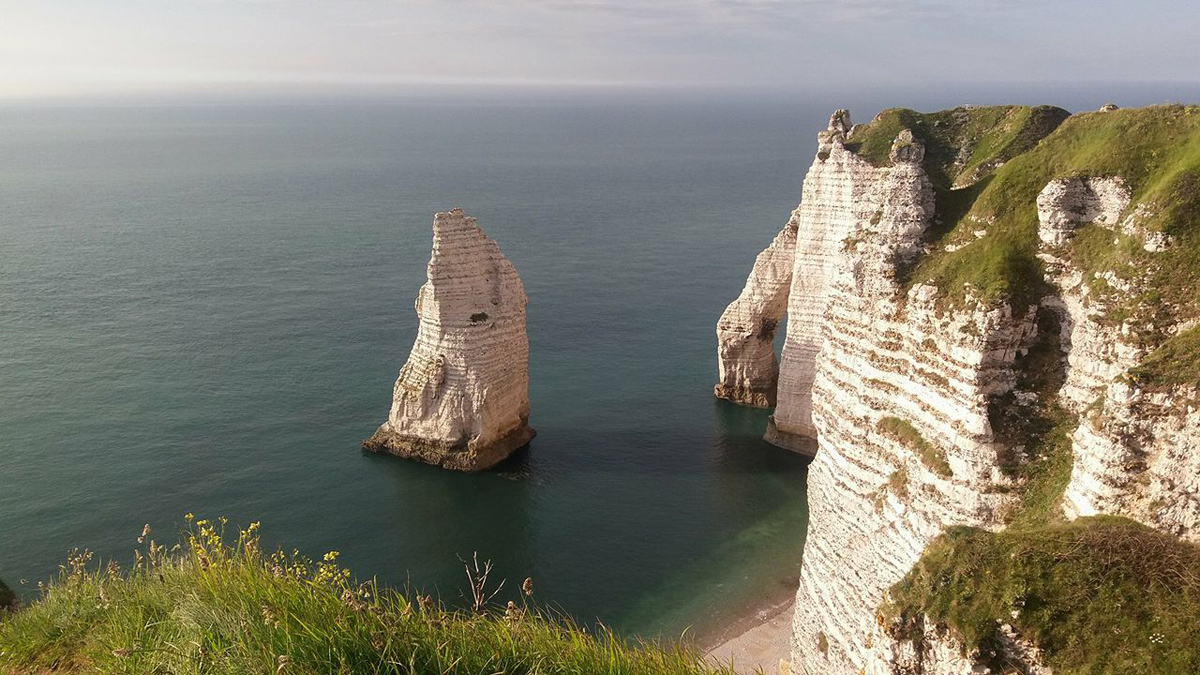 33663519_1870012876362704_91294330447326