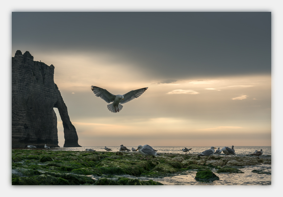 Etretat_CS_2018_8.jpg