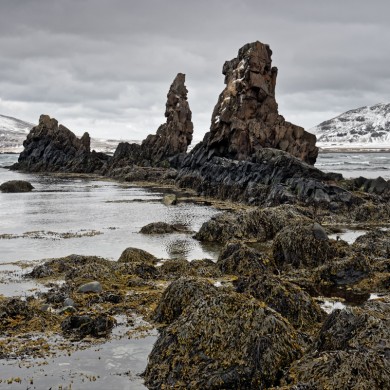 Iceland 2015 Westfjorde